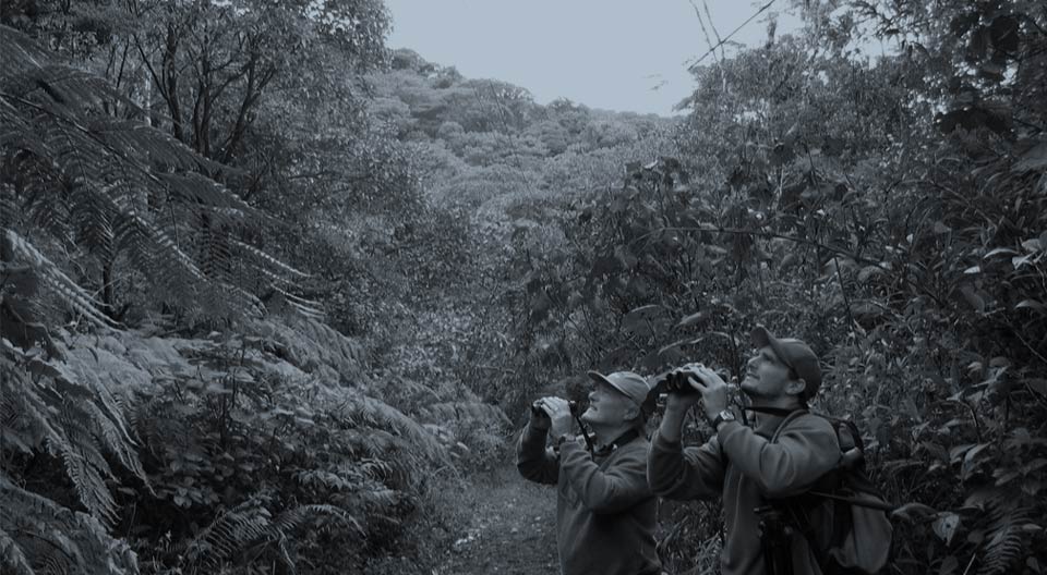 Vogelfotografiereis Costa Rica met Birding Breaks oktober 2019
